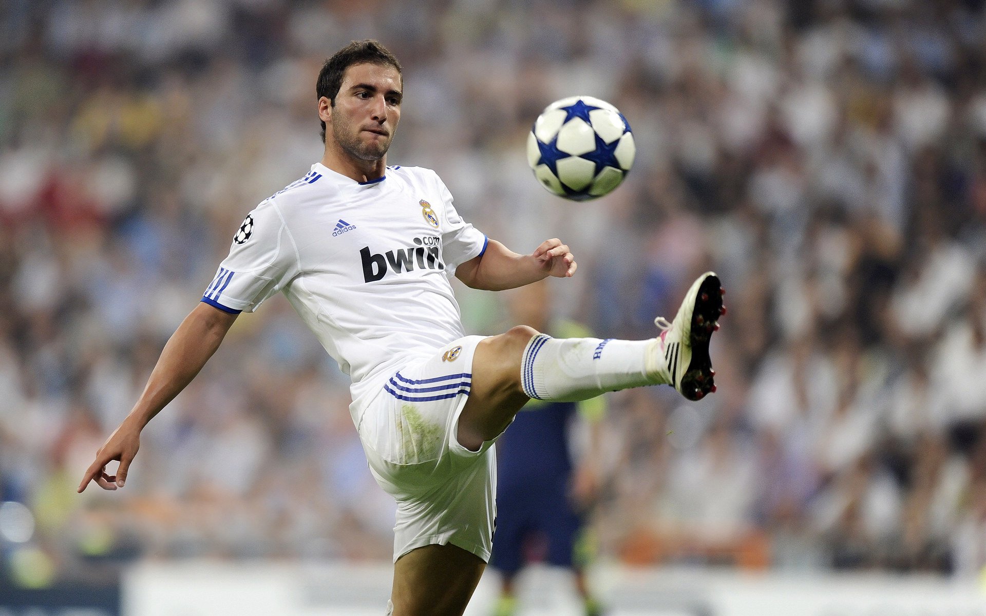 职业联赛主裁判应对媒体能力不足，足球主裁判职责