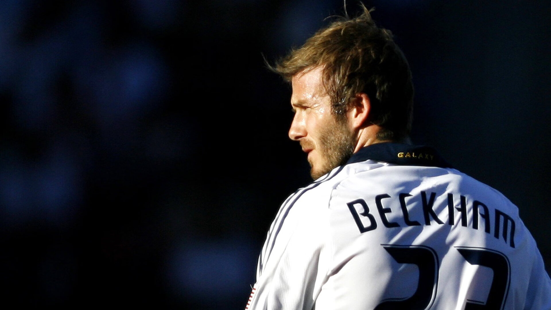 “萨尔·巴赫成为南非羚羊队的关键球员”