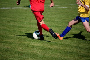 星空体育官方网站-中小学篮球教研活动不断创新教学方法提升训练效果，篮球教研活动总结